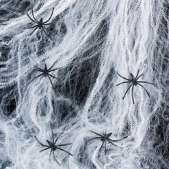 2 Toiles D'Araignée Décoratives Blanches Et 12 Araignées