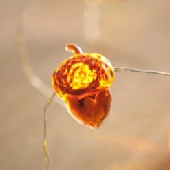 Guirlande Lumineuse à 30 Silhouettes LED Automnales 9 Guirlande Lumineuse à 30 Silhouettes LED Automnales -Boutique De Noël C20 AUTUMN guirlande lumineuse a 30 silhouettes led automnales 4