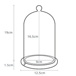 Lot De Cloche En Verre & Guirlande Micro LED Fantômes Et Araignées -Boutique De Noël GDM15 1 Dimensions Glass Dome Bell Jar Cloche P9 2