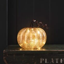 Citrouille Lumineuse Ambrée à Tige En Spirale -Boutique De Noël LL21067 citrouille lumineuse ambree a tige en spirale 4