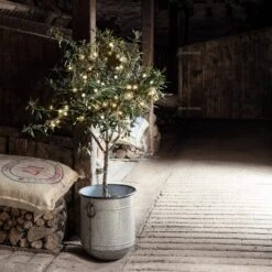 Guirlande Lumineuse à Piles 50 LED Blanc Chaud Sur Câble Transparent 6 Guirlande Lumineuse à Piles 50 LED Blanc Chaud Sur Câble Transparent -Boutique De Noël LL50YWC 50 Warm White Outdoor Battery Lights olive tree barn P2