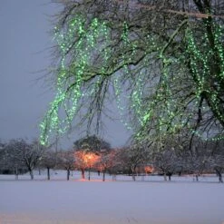 Guirlande Lumineuse Core Connect 50m 500 LED Verte Câble Transparent Raccordable 7 Guirlande Lumineuse Core Connect 50m 500 LED Verte Câble Transparent Raccordable -Boutique De Noël ML100GC Green LED Connectable Fairy Lights Christmas Tree P3 1e8422a2 4015 46f3 8f85 3028fb814bbc