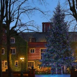 Guirlande Lumineuse Core Connect 50m 500 LED Multicolore Câble Vert Raccordable -Boutique De Noël ML100MG multi coloured Christmas tree lights at queen ethelburgas york P3 fa0b26a9 664e 4b1e 91c8 da93ab7c8edb