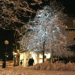 Guirlande Lumineuse Core Connect 50m 500 LED Blanche Câble Vert Raccordable 11 Guirlande Lumineuse Core Connect 50m 500 LED Blanche Câble Vert Raccordable -Boutique De Noël ML100WG White LED Fairy Lights P4 460084fb b26f 4653 9f5e 6ec5742f0cd9