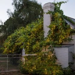 Guirlande Lumineuse Core Connect 10m 100 LED Blanc Chaud Câble Vert Raccordable 7 Guirlande Lumineuse Core Connect 10m 100 LED Blanc Chaud Câble Vert Raccordable -Boutique De Noël ML100YWG Outdoor Warm White Core Rangeh Fairy Lights String P3