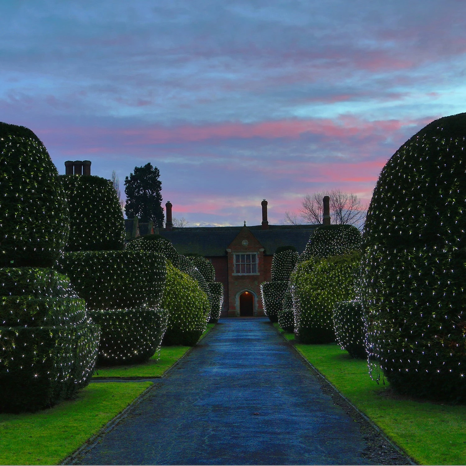 Filet Lumineux Core Connect 2m X 2m 140 LED Blanche Câble Vert Raccordable 4 Filet Lumineux Core Connect 2m X 2m 140 LED Blanche Câble Vert Raccordable – Image 4