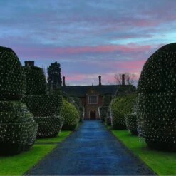 Filet Lumineux Core Connect 10m X 2m 700 LED Blanche Câble Vert Raccordable -Boutique De Noël ML140WG White Hedge Net Light P4 6550e63c 1da4 45cd 8ecd 9f0aba5795d3