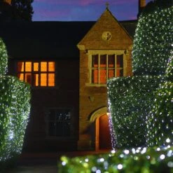 Filet Lumineux Core Connect 2m X 2m 140 LED Blanche Câble Vert Raccordable 11 Filet Lumineux Core Connect 2m X 2m 140 LED Blanche Câble Vert Raccordable -Boutique De Noël ML140WG White Hedge Net Light P5