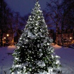 Filet Lumineux Core Connect 2m X 2m 140 LED Blanche Câble Vert Raccordable 13 Filet Lumineux Core Connect 2m X 2m 140 LED Blanche Câble Vert Raccordable -Boutique De Noël ML140WG White Net Light P7