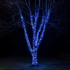 Guirlande Lumineuse Pro Connect 40m 400 LED Bleue Et Blanche Câble Noir Raccordable