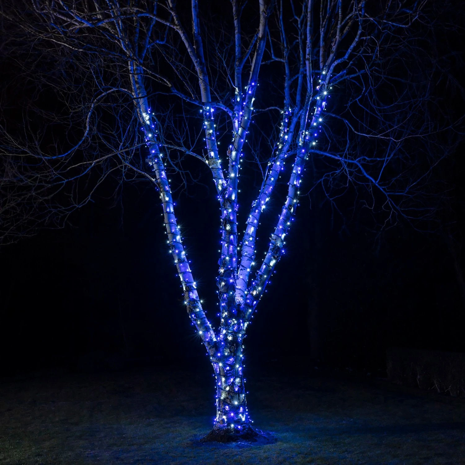 Guirlande Lumineuse Pro Connect 40m 400 LED Bleue Et Blanche Câble Noir Raccordable 1 Guirlande Lumineuse Pro Connect 40m 400 LED Bleue Et Blanche Câble Noir Raccordable