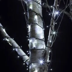 Boutique De Noël -Boutique De Noël PR50WB Guirlande Lumineuse Exterieure 50 LED Blanche Cable Noir Entouree sur Arbre Serie Pro 4057e2aa fa5b 44af 8f62 0b77dac2021e