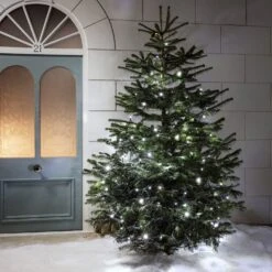 Guirlande Lumineuse Pro Connect IP67, 50m 500 LED Blanche Câble Noir Raccordable