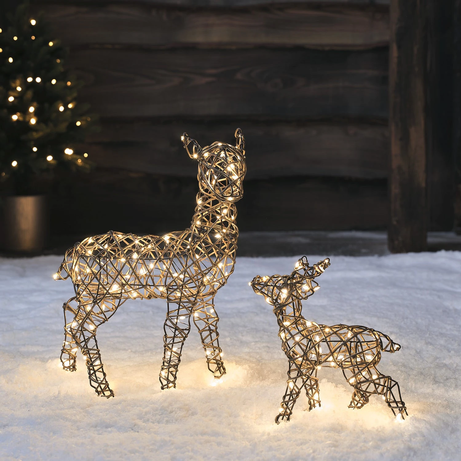 Mini Faon Et Biche Lumineux De Noël Studley En Rotin 1 Mini Faon Et Biche Lumineux De Noël Studley En Rotin
