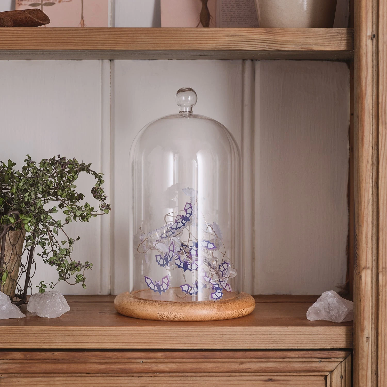 Lot De Cloche En Verre & Guirlande Micro LED Chauves-souris 2 Lot De Cloche En Verre & Guirlande Micro LED Chauves-souris – Image 2